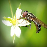 /album/unweifrenev/photolia-a02-jpg/