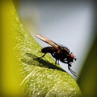 /album/unweifrenev/photolia-a04-jpg/