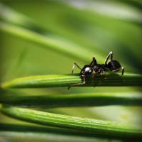 /album/unweifrenev/photolia-a05-jpg/