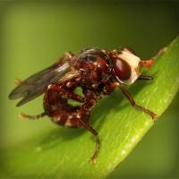 /album/unweifrenev/photolia-a06-jpg/