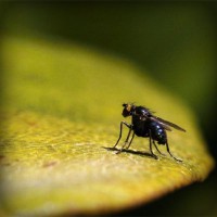 /album/unweifrenev/photolia-a07-jpg/