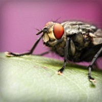 /album/unweifrenev/photolia-a08-jpg/